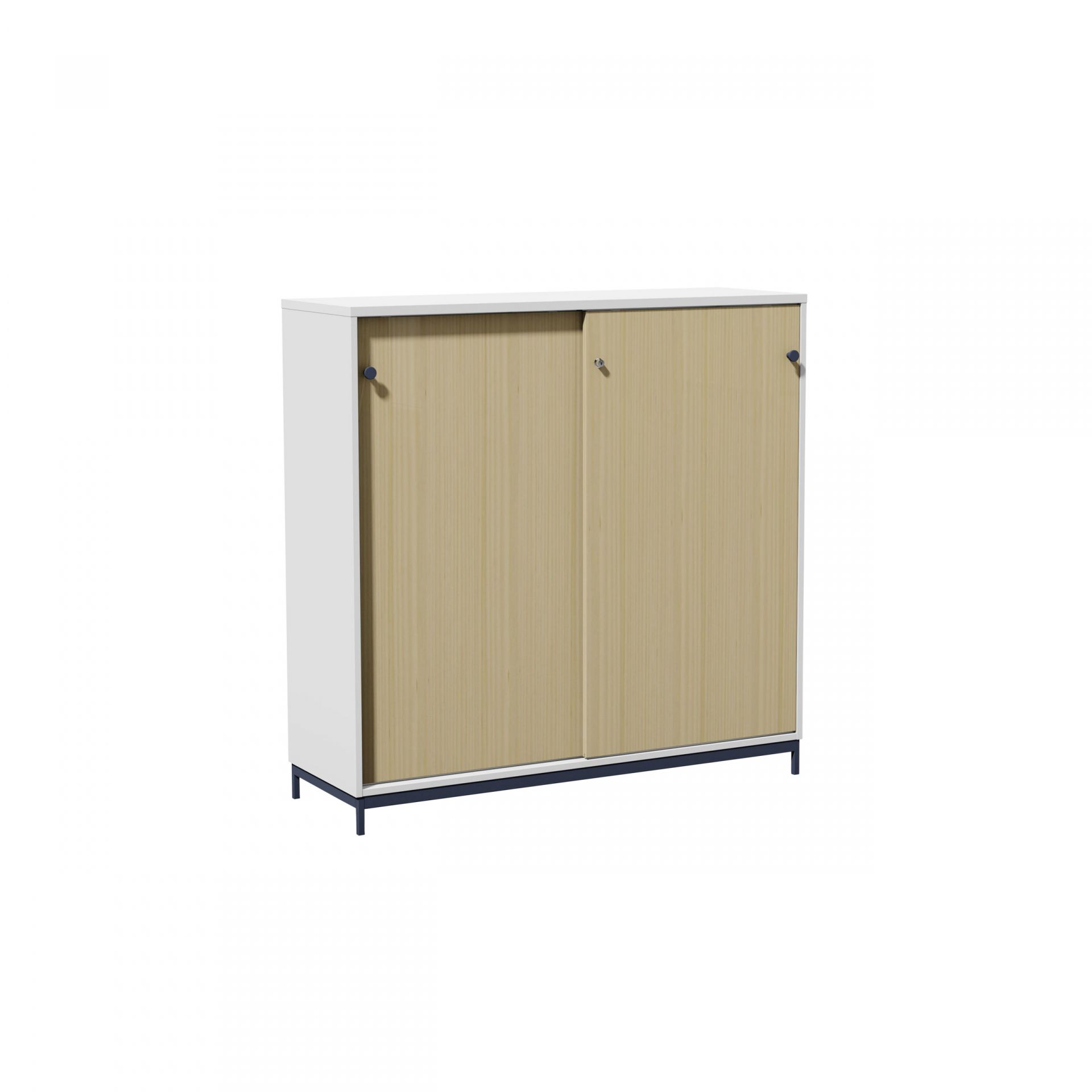 Hold Sliding-door cabinet