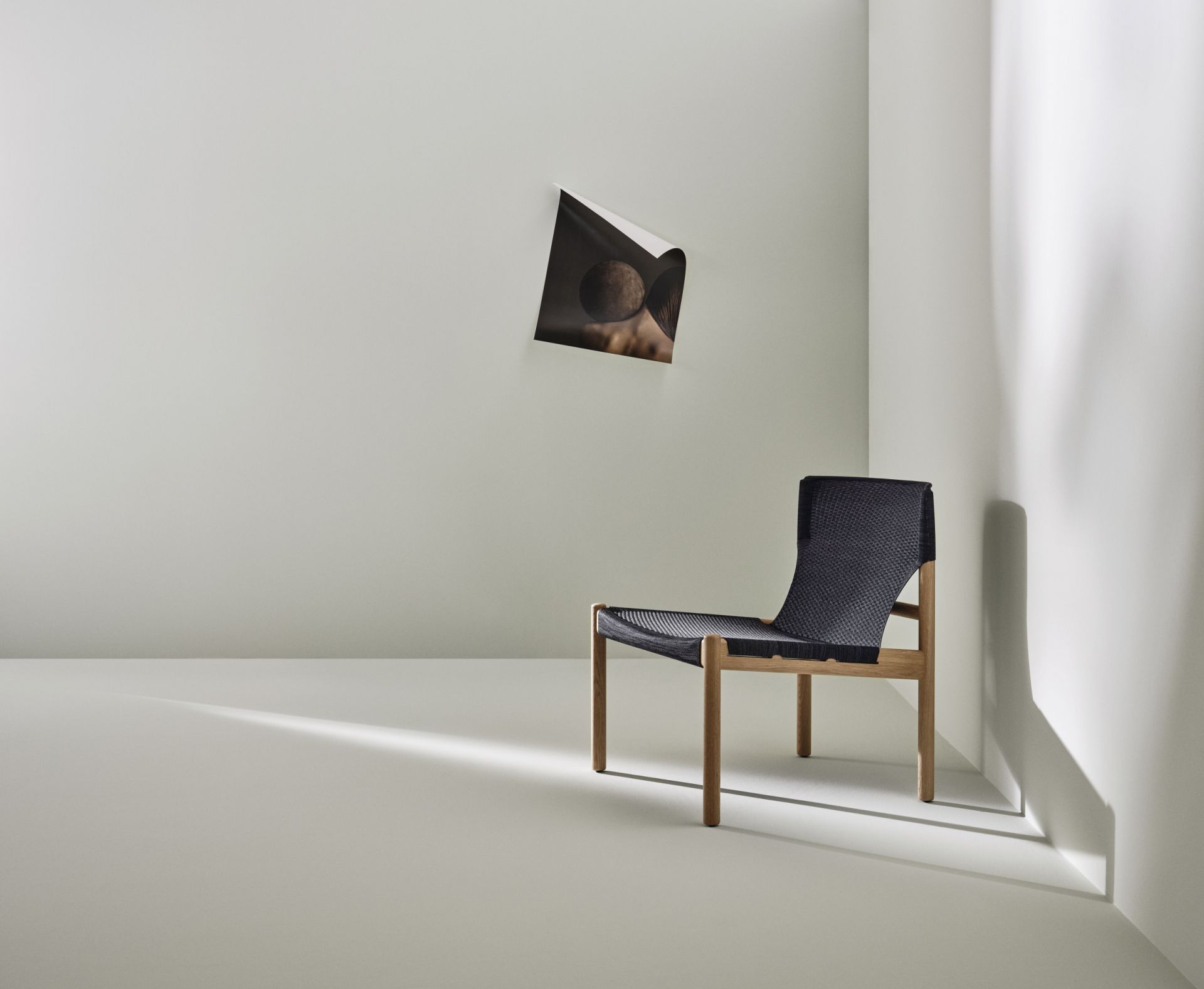 Evo Lounge chair product image 13